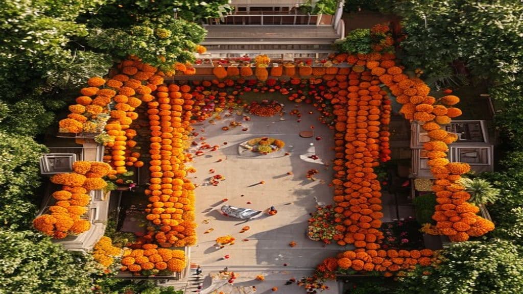 Drones at Indian Weddings